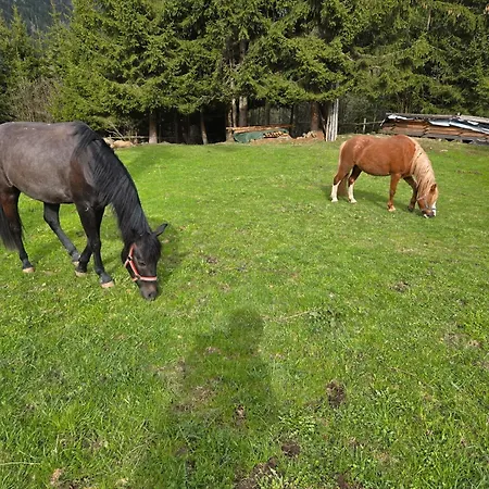 Appartement Blosegghof Bergchalets Waldblick Racines